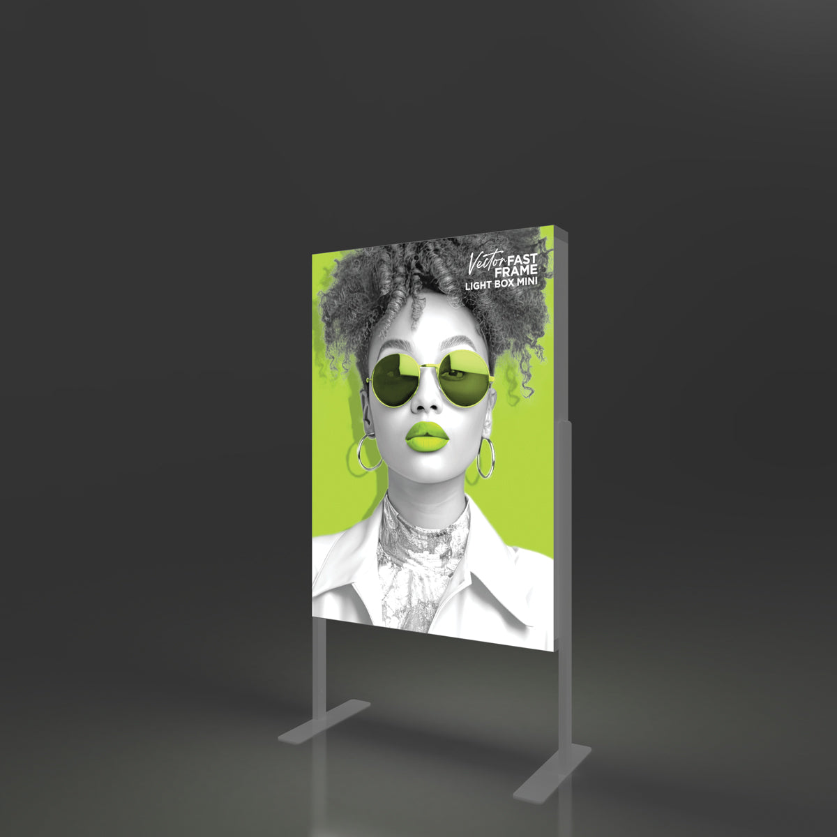 Vector Fast Frame Mini Light Box