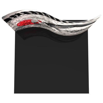 Curved serpentine trade show display featuring dynamic graphic design for exhibitions and special events