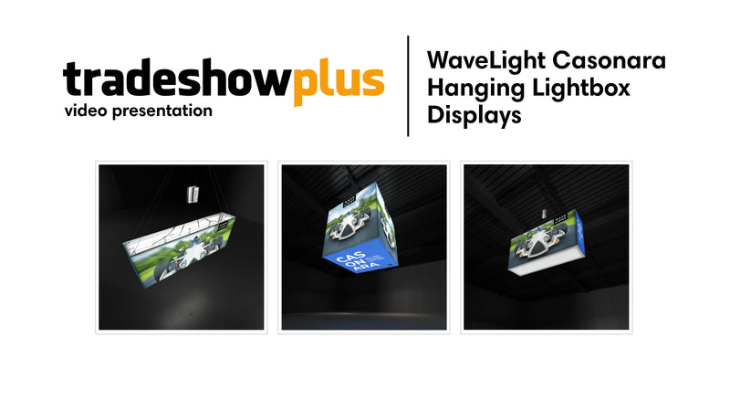 Wavelight Casonara Light Box Hanging Displays